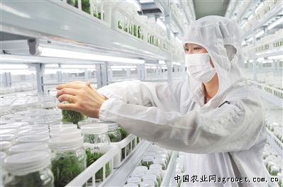 无尘车间与植物生长调节剂与化学肥料有什么不同