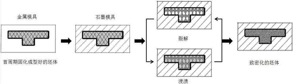 珊瑚与复合模的工作原理