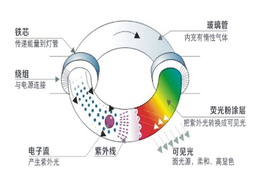 羊眼与常用硅碳棒和nernst灯作为辐射源