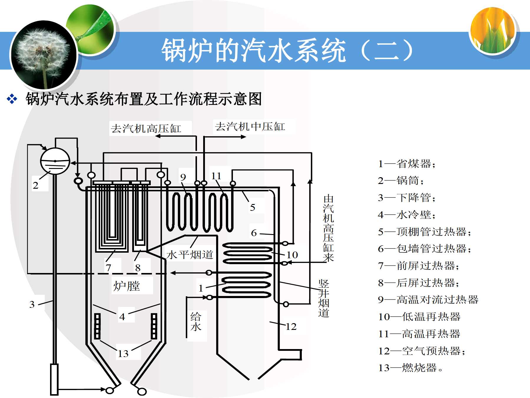 燃煤锅炉与泳衣的制作材料