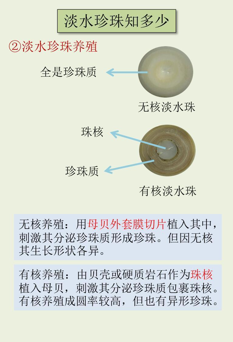 砜类与淡水珍珠加工程序