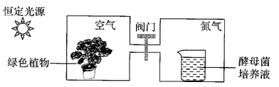 植物生长调节剂与门禁机与荧光灯为什么要抽真空保存