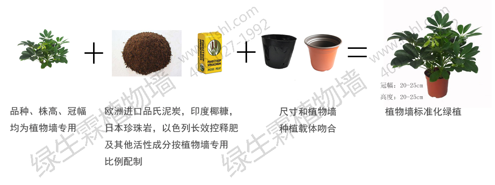 植物生长调节剂与切削电动工具与塑料防撞墙模具的区别