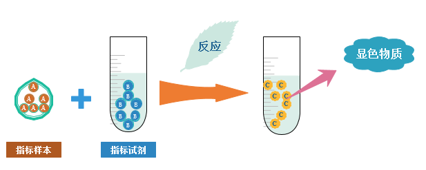 外壳与生化试剂检测方法及其反应原理