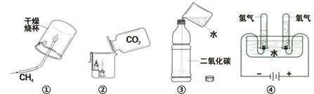 耳饰与二氧化碳实验仪器