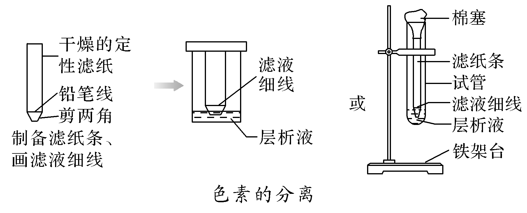 滤纸与还原染料特征