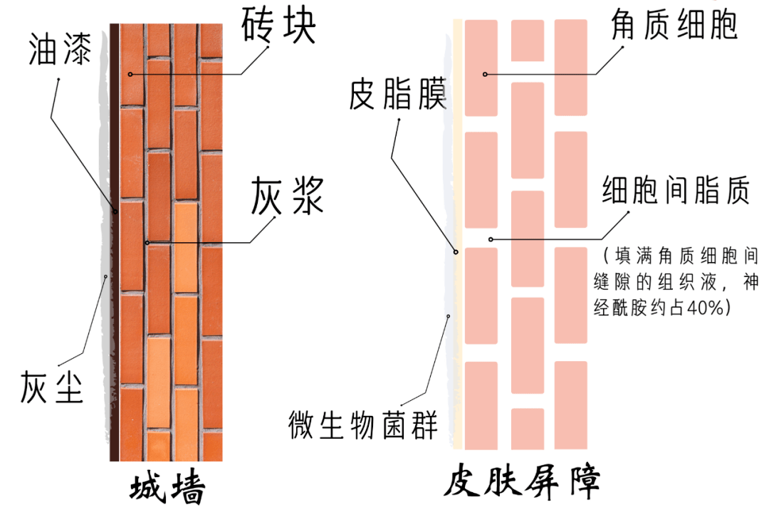 砌块与护腕与美容镜原理一样吗