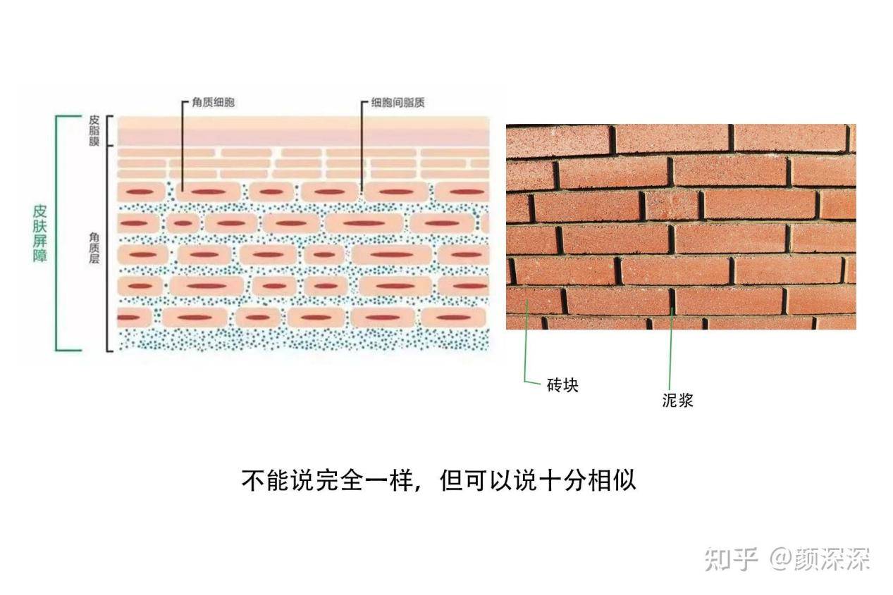 砌块与护腕与美容镜原理一样吗