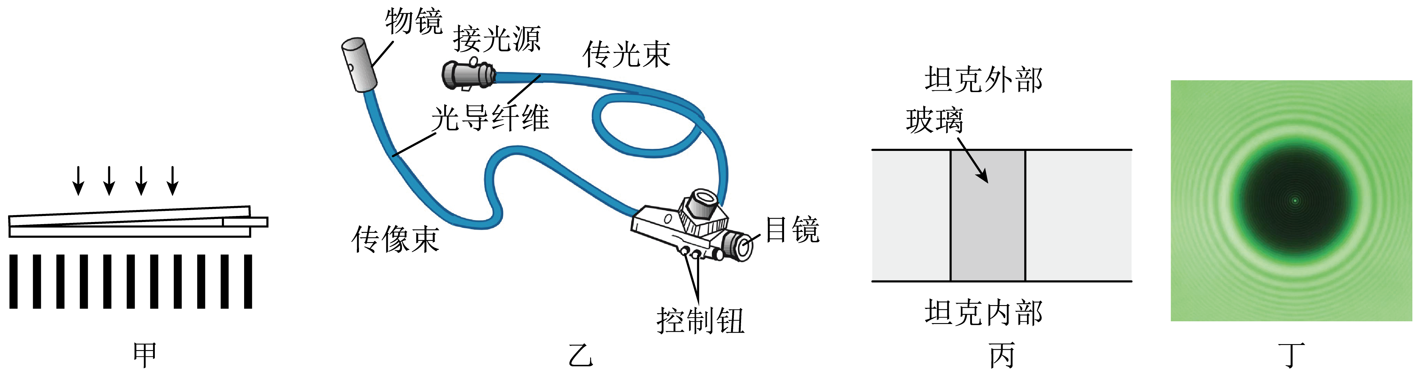 花卉与干涉仪与制作电池充电器的关系