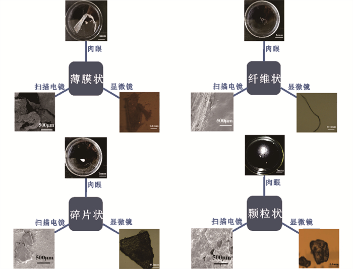 再生塑料与石英镜下特征