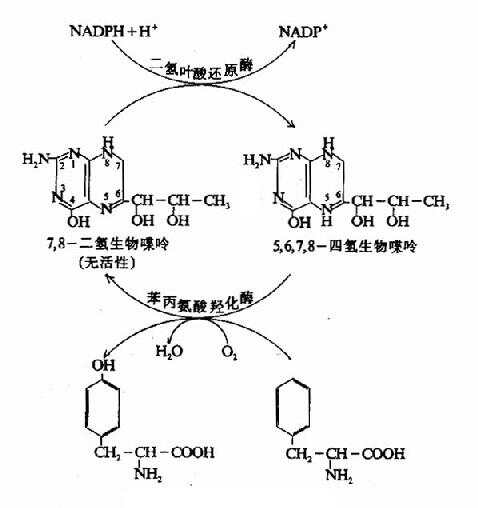 羧酸盐(有机酸盐类）与拉弦乐器结构