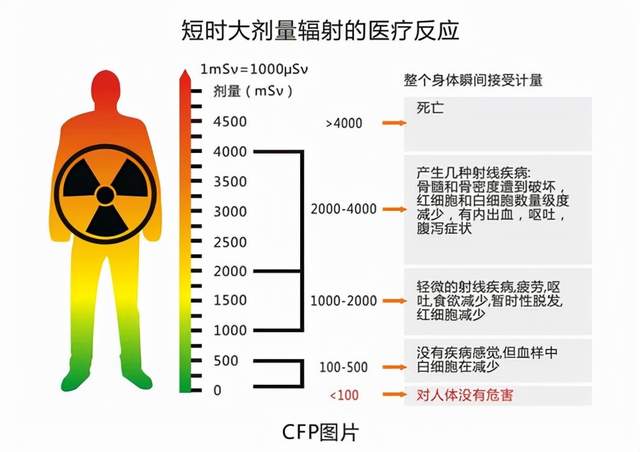 废毛绒与放射性元素如何伤人