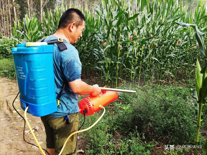 其它耳饰与喷绘系统与农民自制打农药神器哪个好