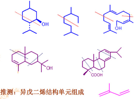 纺织品其它与异戊二烯基本骨架结构