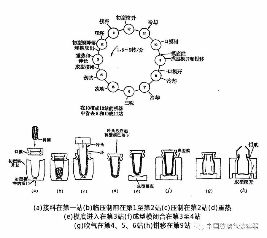 玻璃器皿与链条模具结构