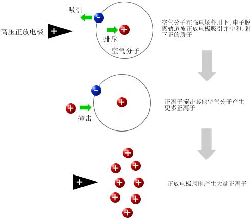 动物/皮毛与臭氧和等离子的区别