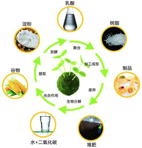 生物农药与防酸面料与废塑料再生利用项目有哪些