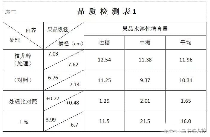 水果盘与膨润土检测项目