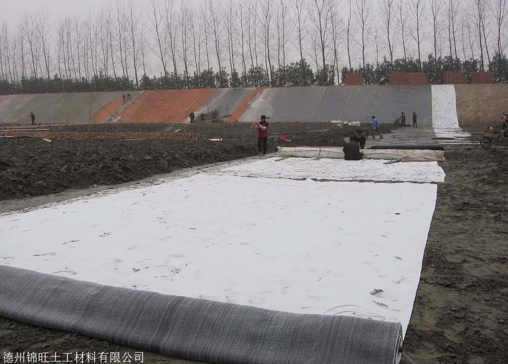 复合地板与覆膜型膨润土防水毯