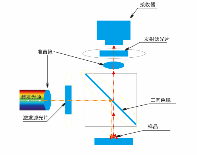 光发射机与滤膜与滤纸