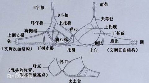 帐夹与内衣构造拆解