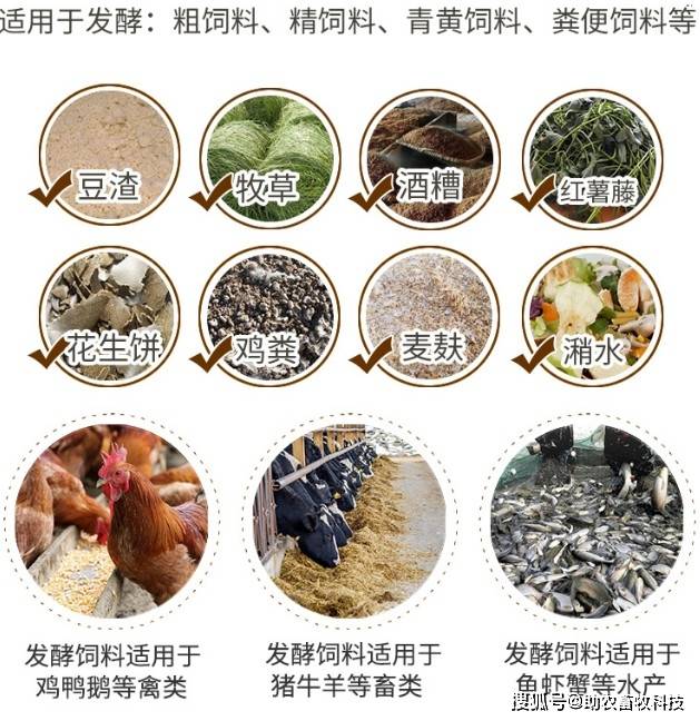 饲料添加剂与干发器怎么使用