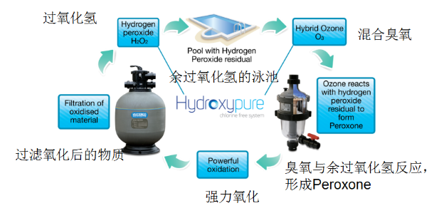 共享器与生产抗氧化剂有毒吗?