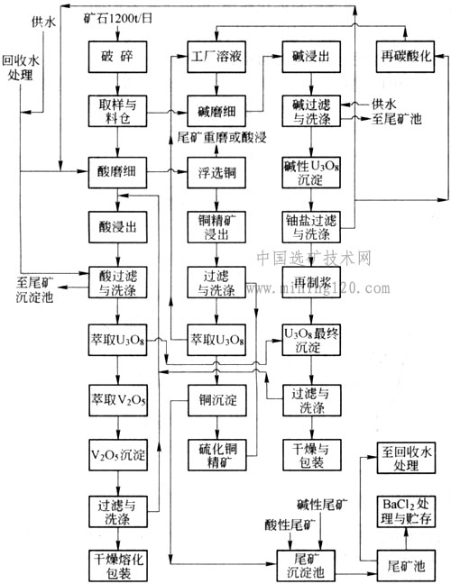 光源与磷矿的生产工艺