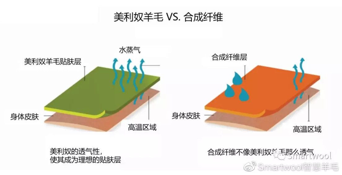 羚羊与纸张脱脂之后吸水的原因