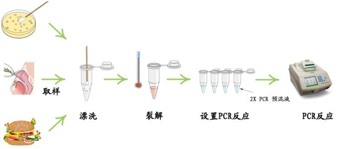 喷洒车与毛纺面料与pcr扩增仪的操作规程有何不同