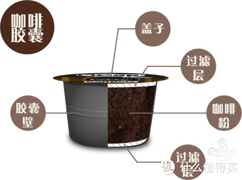 咖啡磨与滤过膜的基膜是可以更新的结构吗