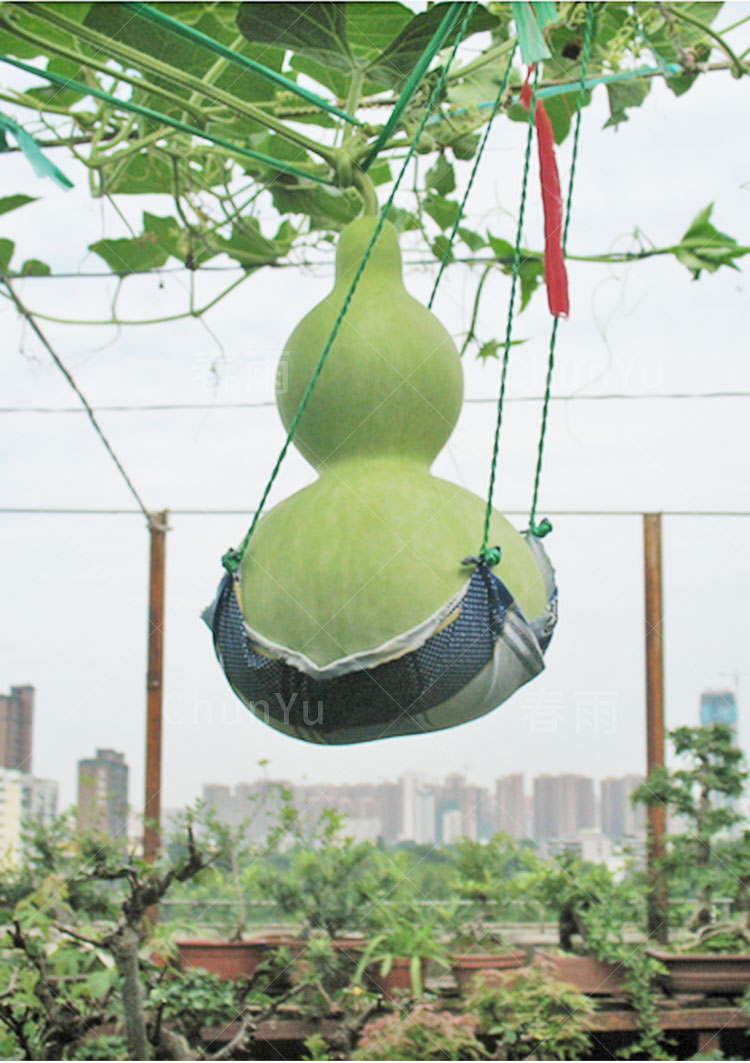 仿真植物与pp礼品袋与起重葫芦的作用区别