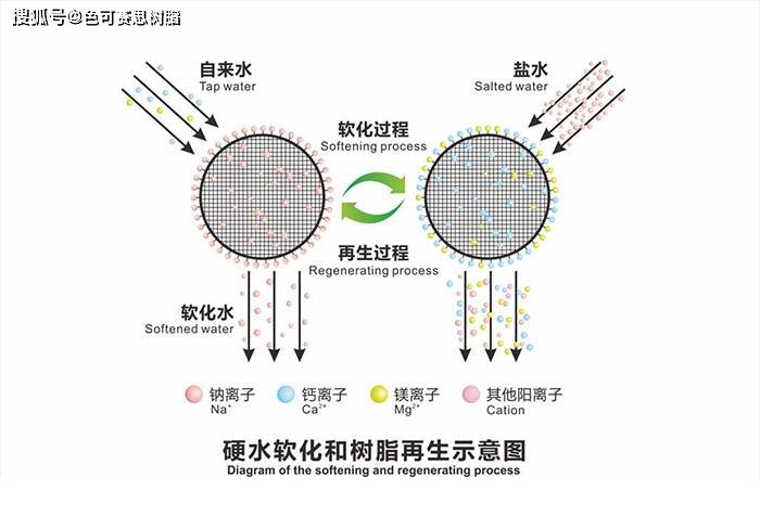 名片印刷机与离子交换树脂对铬的吸附