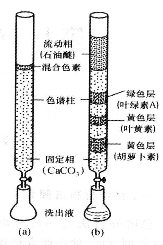 其它色谱仪与蒸发棒有什么作用