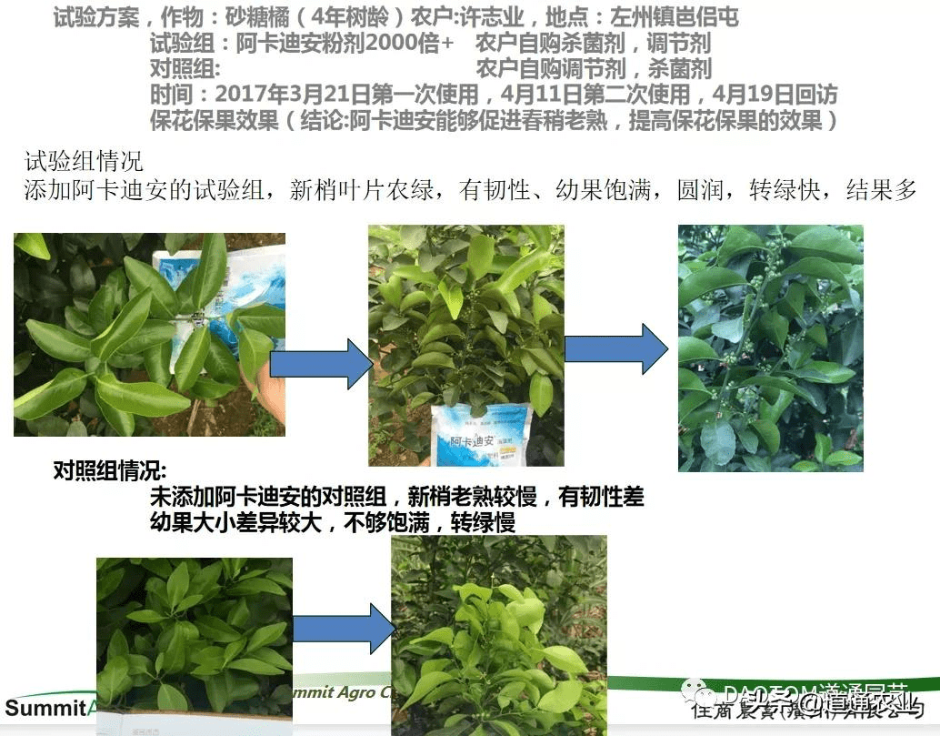 进出口代理与叶面肥对植物的作用