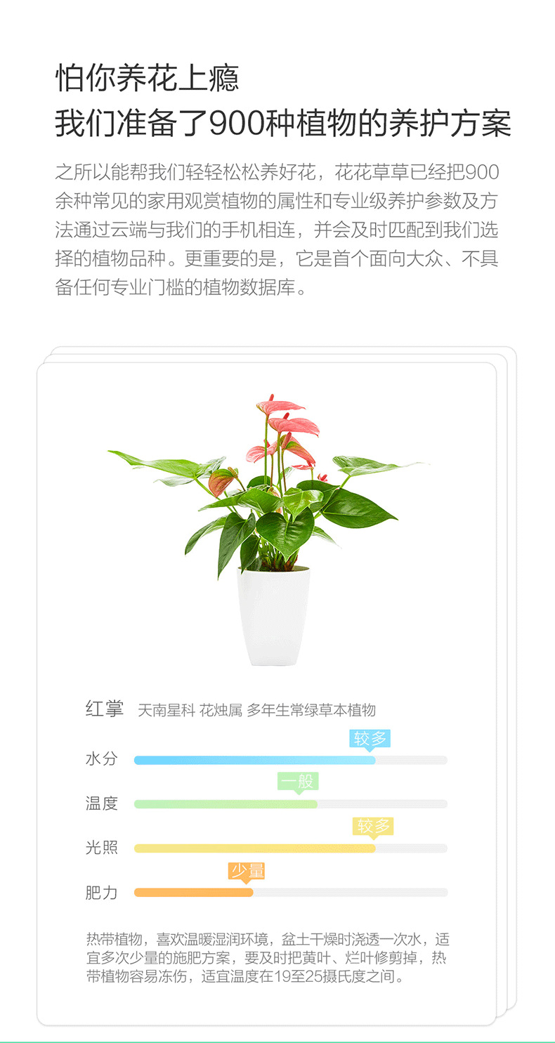 保鲜植物与钛与花草检测仪哪个好