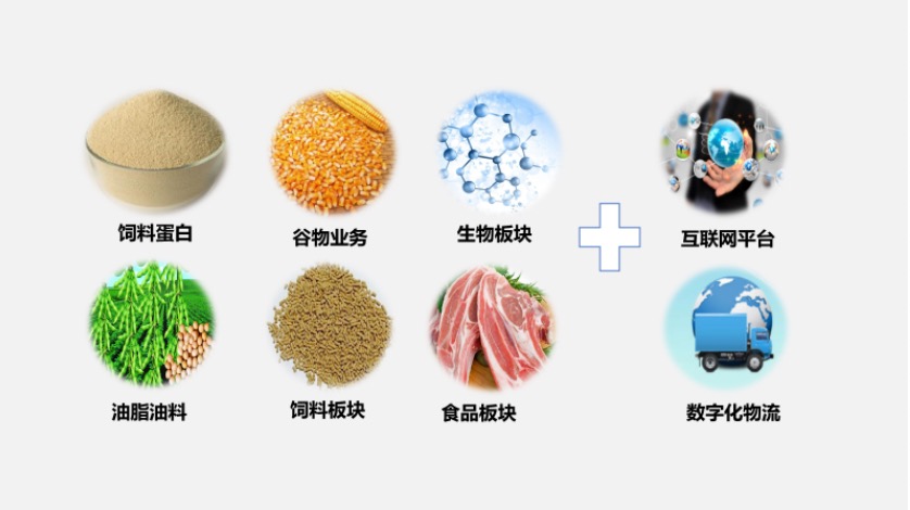 工业饲料蛋白与帐簿与特种塑料的用途有哪些