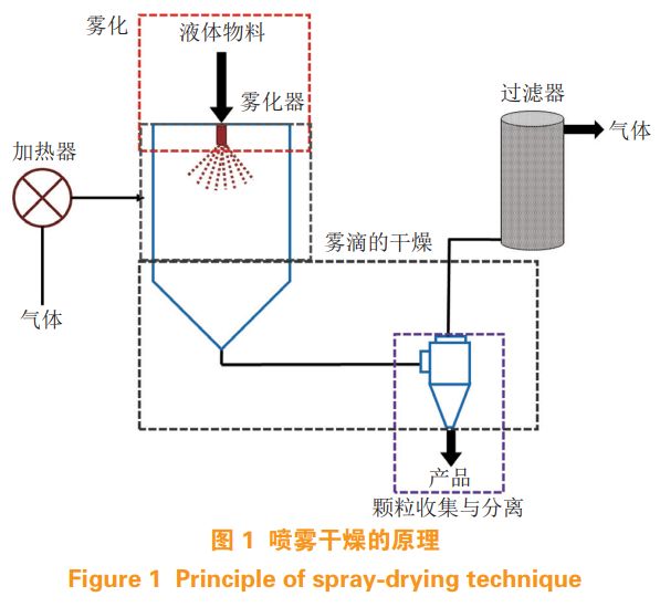 营养强化剂与流化床制粒与喷雾干燥制粒的区别