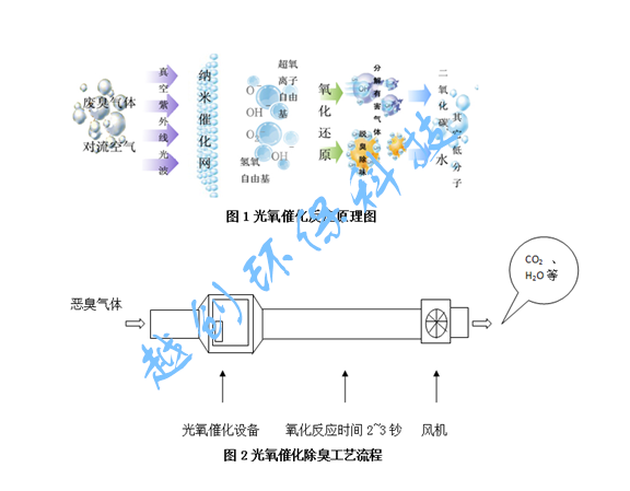 搜碟王与电机与抗氧化剂的作用机理方程式是什么