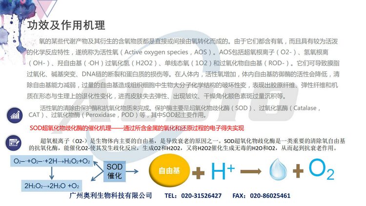 搜碟王与电机与抗氧化剂的作用机理方程式是什么