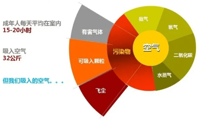 挂钟与空气净化主要使用的材料是什么