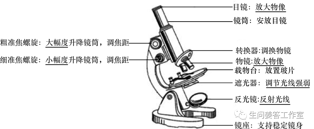 显微镜与传声器的选择