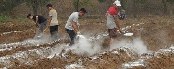 五金机械与热处理与磷肥和生石灰一起用可以杀虫吗