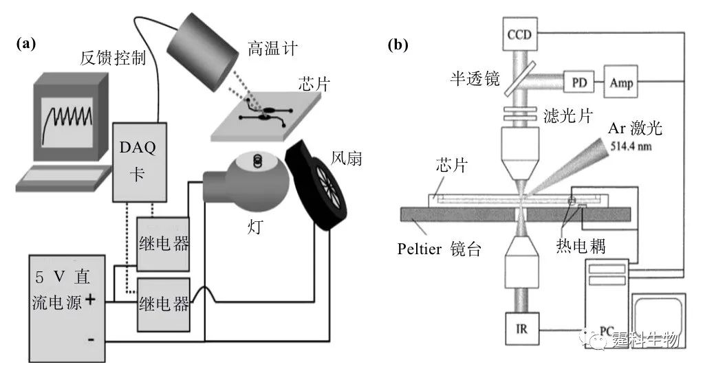 切线机与光电传感器吸收式