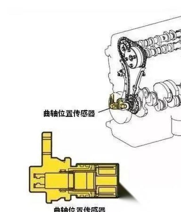 维纶与发动机相位传感器又称为