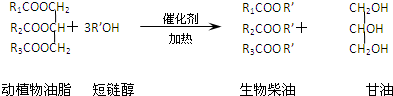 生物柴油制备反应方程式