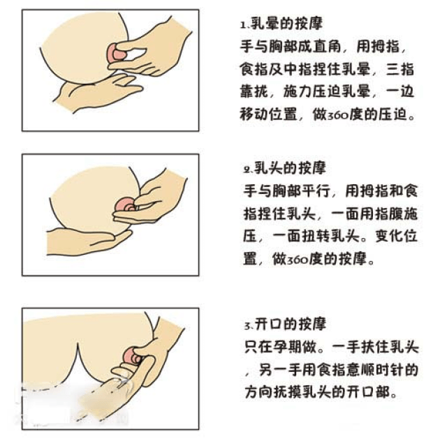 乳房护理操作标准