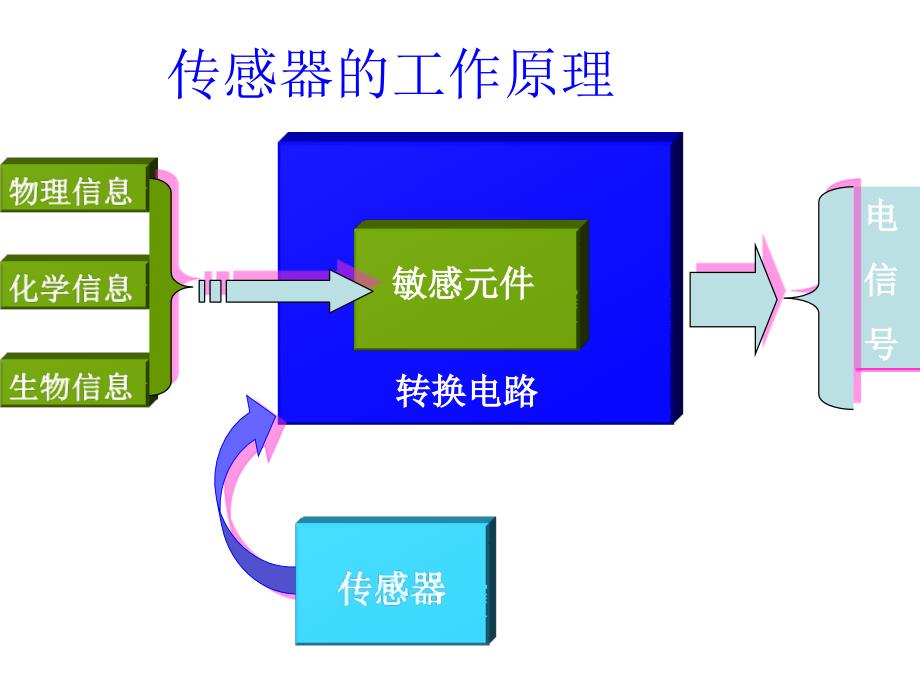 动物传感器是什么原理