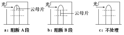 光通过云母片的光程