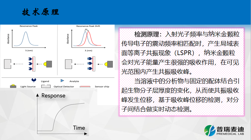 极谱技术